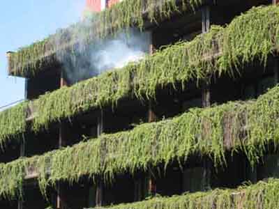 FWuebung_Bled200505_002